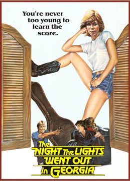 The Night the Lights Went Out in Georgia 1981 Kristy McNichol Dennis Quaid movie DVD image