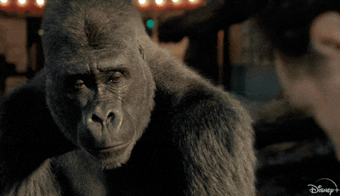 The One and Only Ivan 2020 Disney family movie DVD image